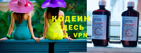 индика Заволжье