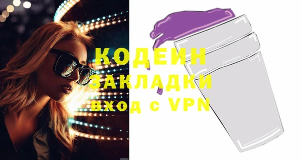 индика Заволжье