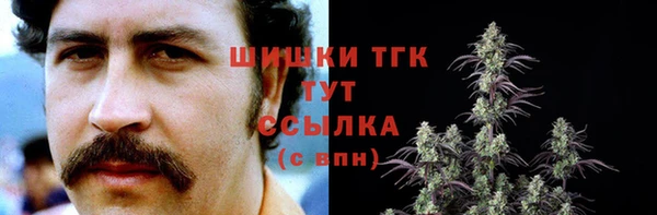 соль ск Заводоуковск