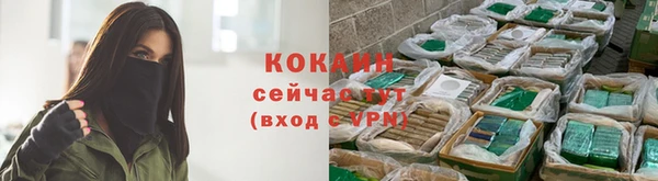 соль ск Заводоуковск