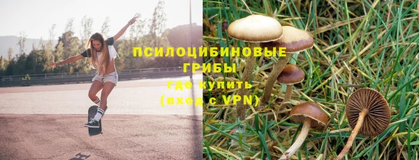 индика Заволжье