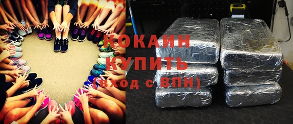 индика Заволжье