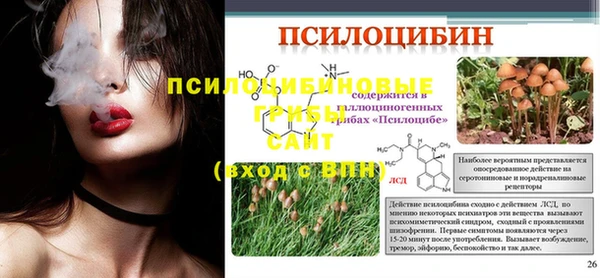 индика Заволжье