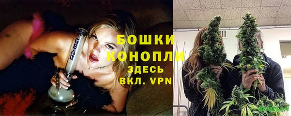 индика Заволжье