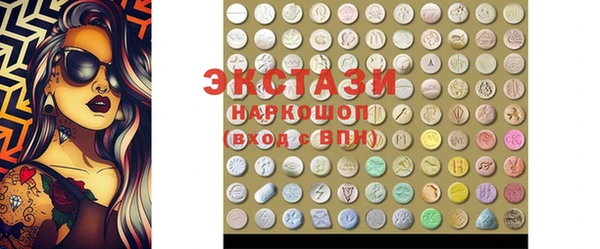 индика Заволжье