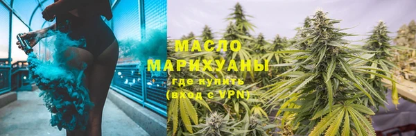 индика Заволжье