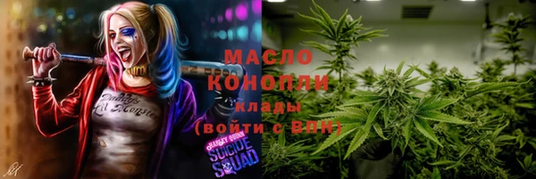 индика Заволжье
