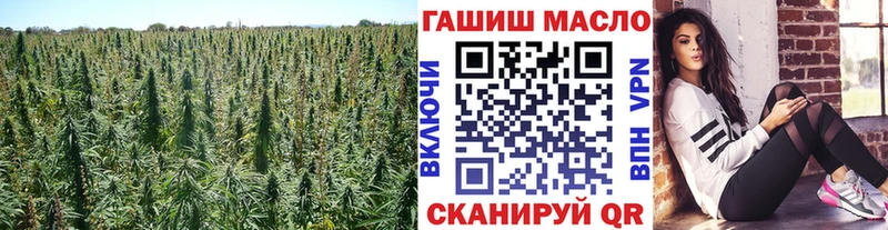 купить наркотики сайты  Мглин  Дистиллят ТГК жижа 